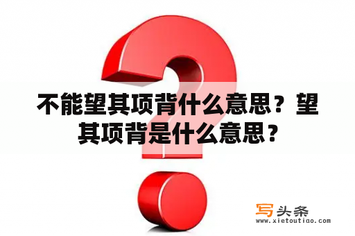 不能望其项背什么意思？望其项背是什么意思？