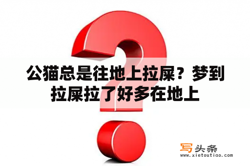 公猫总是往地上拉屎？梦到拉屎拉了好多在地上