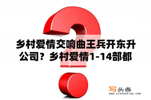 乡村爱情交响曲王兵开东升公司？乡村爱情1-14部都叫什么名片？