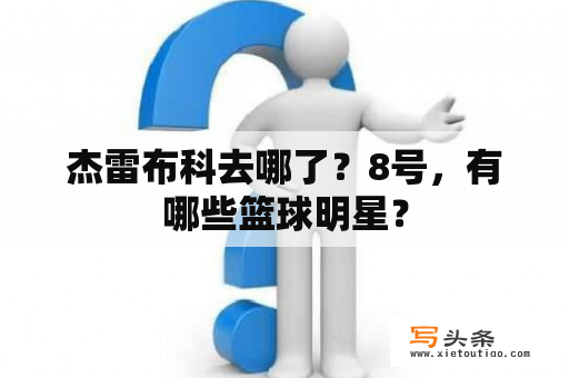 杰雷布科去哪了？8号，有哪些篮球明星？