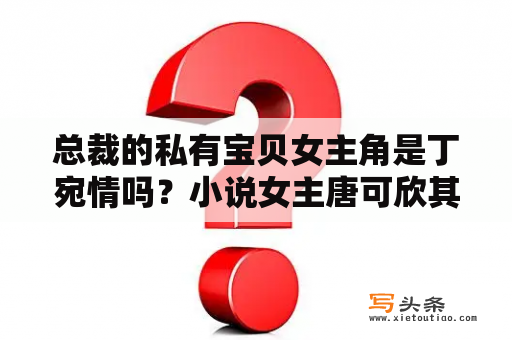 总裁的私有宝贝女主角是丁宛情吗？小说女主唐可欣其中一男主蒋天磊,世界第一酒店？