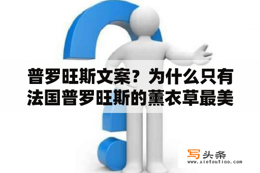 普罗旺斯文案？为什么只有法国普罗旺斯的薰衣草最美？