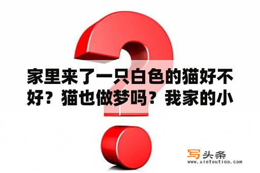 家里来了一只白色的猫好不好？猫也做梦吗？我家的小猫睡着觉还小声的叫，还吧嗒嘴，不知道它在干什么？