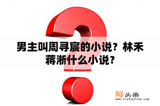 男主叫周寻宸的小说？林禾蒋淅什么小说？