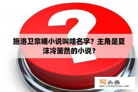 施洛卫宗曦小说叫啥名字？主角是夏沫冷萧然的小说？