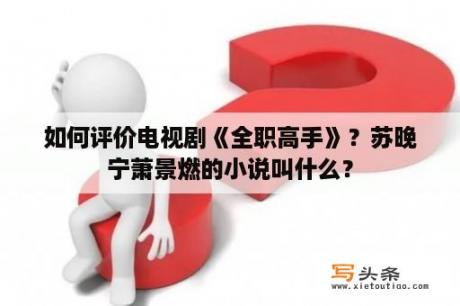 如何评价电视剧《全职高手》？苏晚宁萧景燃的小说叫什么？