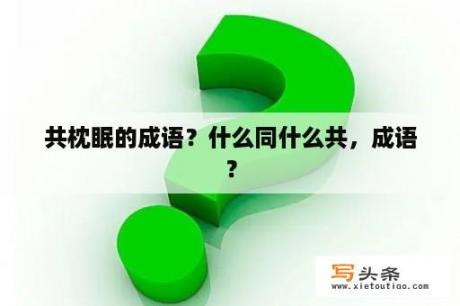 共枕眠的成语？什么同什么共，成语？