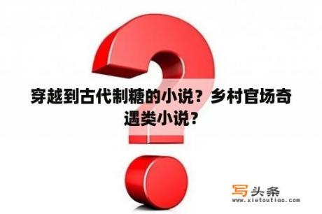 穿越到古代制糖的小说？乡村官场奇遇类小说？