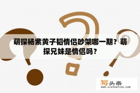 萌探杨紫黄子韬情侣吵架哪一期？萌探兄妹是情侣吗？