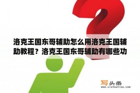 洛克王国东哥辅助怎么用洛克王国辅助教程？洛克王国东哥辅助有哪些功能？