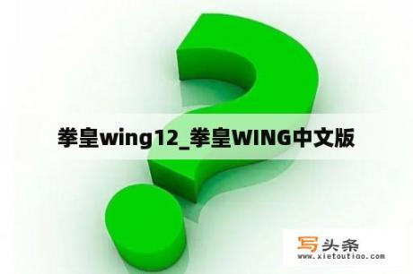 拳皇wing12_拳皇WING中文版