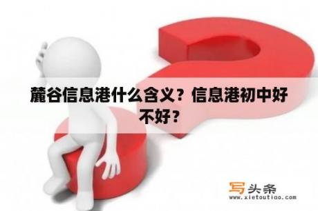 麓谷信息港什么含义？信息港初中好不好？