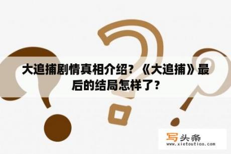 大追捕剧情真相介绍？《大追捕》最后的结局怎样了？