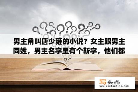 男主角叫唐少雍的小说？女主跟男主同姓，男主名字里有个靳字，他们都是熊猫血，女主是大一的？