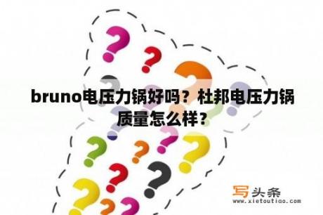 bruno电压力锅好吗？杜邦电压力锅质量怎么样？