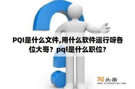 PQI是什么文件,用什么软件运行呀各位大哥？pql是什么职位？