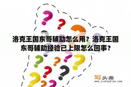 洛克王国东哥辅助怎么用？洛克王国东哥辅助经验已上限怎么回事？