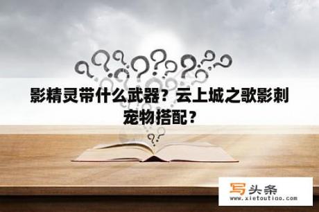 影精灵带什么武器？云上城之歌影刺宠物搭配？