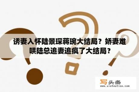 诱妻入怀陆景琛蒋琬大结局？娇妻难哄陆总追妻追疯了大结局？