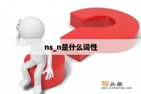 ns_n是什么词性