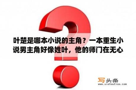 叶楚是哪本小说的主角？一本重生小说男主角好像姓叶，他的师门在无心峰上，是什么小说的？