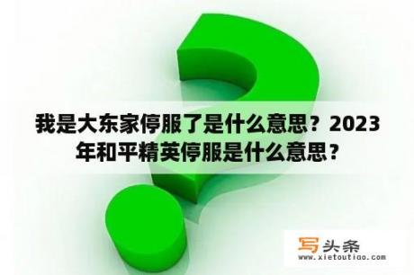 我是大东家停服了是什么意思？2023年和平精英停服是什么意思？