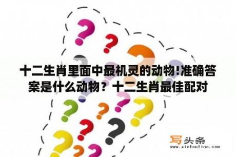 十二生肖里面中最机灵的动物!准确答案是什么动物？十二生肖最佳配对