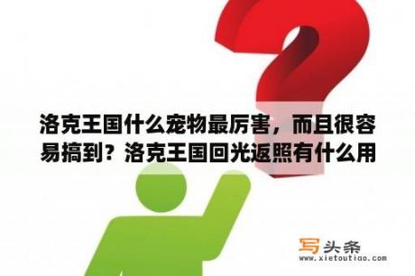 洛克王国什么宠物最厉害，而且很容易搞到？洛克王国回光返照有什么用？