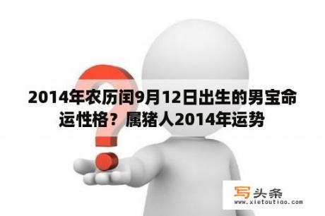 2014年农历闰9月12日出生的男宝命运性格？属猪人2014年运势