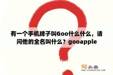 有一个手机牌子叫Goo什么什么，请问他的全名叫什么？gooapple