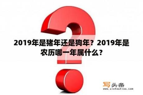 2019年是猪年还是狗年？2019年是农历哪一年属什么？