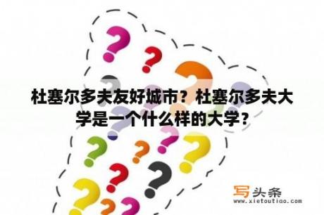 杜塞尔多夫友好城市？杜塞尔多夫大学是一个什么样的大学？