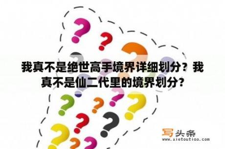 我真不是绝世高手境界详细划分？我真不是仙二代里的境界划分？