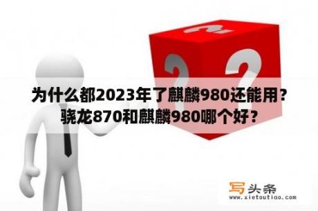 为什么都2023年了麒麟980还能用？骁龙870和麒麟980哪个好？