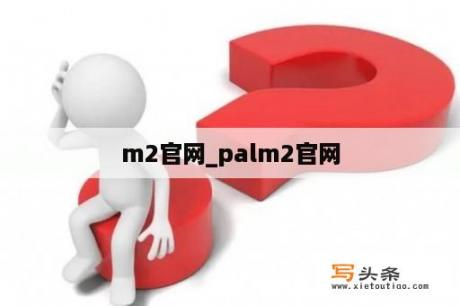 m2官网_palm2官网