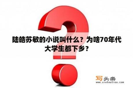 陆皓苏敏的小说叫什么？为啥70年代大学生都下乡？