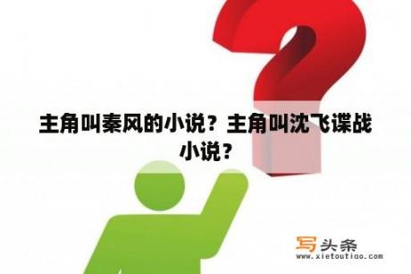 主角叫秦风的小说？主角叫沈飞谍战小说？