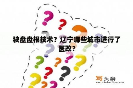 秧盘盘根技术？辽宁哪些城市进行了医改？