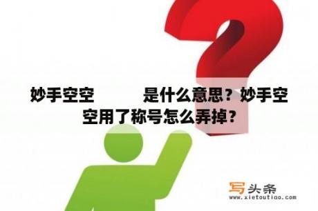 妙手空空　　　是什么意思？妙手空空用了称号怎么弄掉？