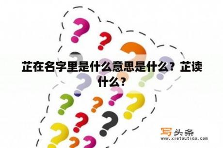 芷在名字里是什么意思是什么？芷读什么？