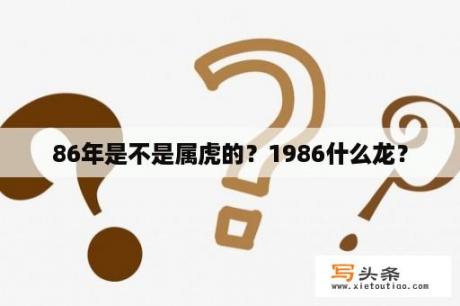 86年是不是属虎的？1986什么龙？