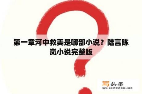 第一章河中救美是哪部小说？陆言陈岚小说完整版