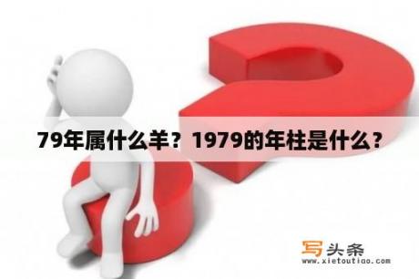 79年属什么羊？1979的年柱是什么？