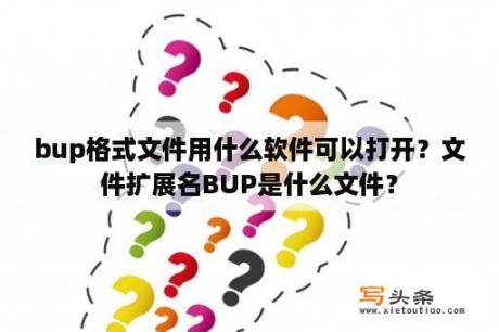 bup格式文件用什么软件可以打开？文件扩展名BUP是什么文件？