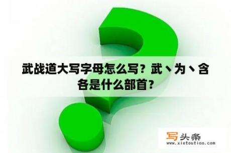 武战道大写字母怎么写？武丶为丶含各是什么部首？