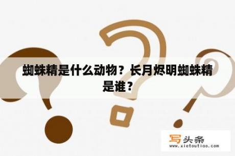 蜘蛛精是什么动物？长月烬明蜘蛛精是谁？