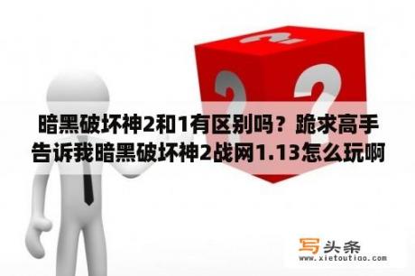 暗黑破坏神2和1有区别吗？跪求高手告诉我暗黑破坏神2战网1.13怎么玩啊，主要追求什么? 我看他们一人玩好几个较色我只想玩一个死灵？