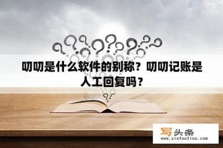 叨叨是什么软件的别称？叨叨记账是人工回复吗？