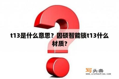 t13是什么意思？因硕智能锁t13什么材质？