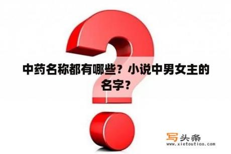 中药名称都有哪些？小说中男女主的名字？